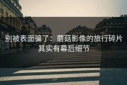 别被表面骗了：蘑菇影像的旅行碎片其实有幕后细节