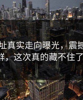 51网网址真实走向曝光，震撼围观人群，这次真的藏不住了！