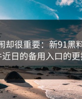 不算热闹却很重要：新91黑料这波91大事件近日的备用入口的更换顺序