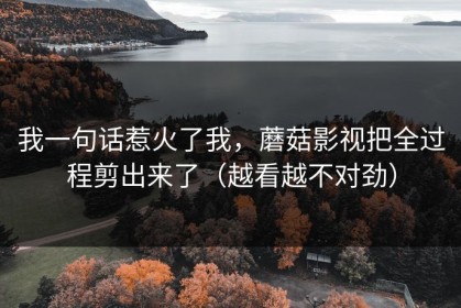 我一句话惹火了我，蘑菇影视把全过程剪出来了（越看越不对劲）