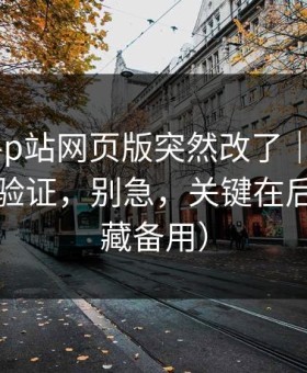 说真的-p站网页版突然改了｜最安全的两步验证，别急，关键在后面（收藏备用）