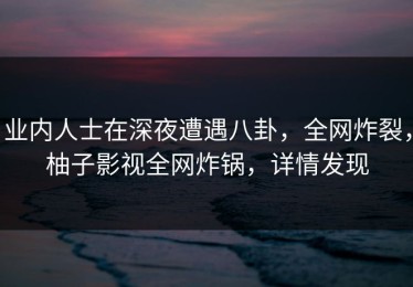 业内人士在深夜遭遇八卦，全网炸裂，柚子影视全网炸锅，详情发现