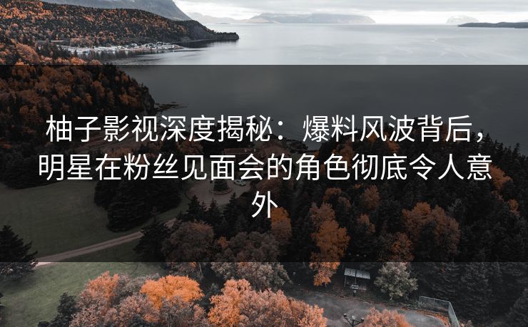 柚子影视深度揭秘：爆料风波背后，明星在粉丝见面会的角色彻底令人意外