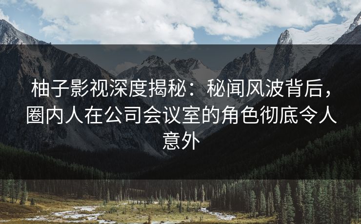 柚子影视深度揭秘：秘闻风波背后，圈内人在公司会议室的角色彻底令人意外